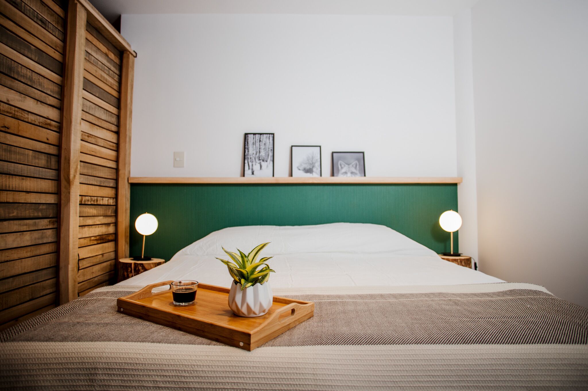 Turek Bahía Suites