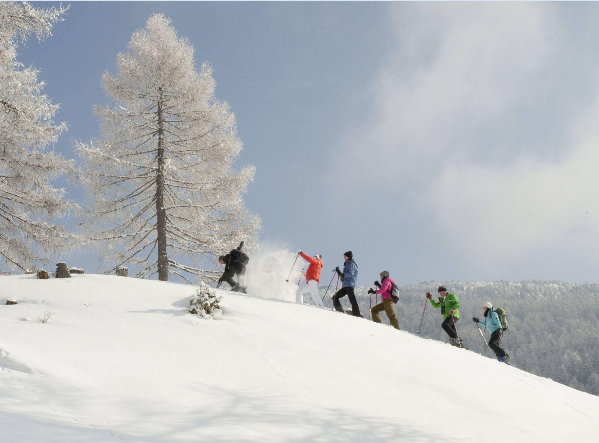 Chalet Alpin