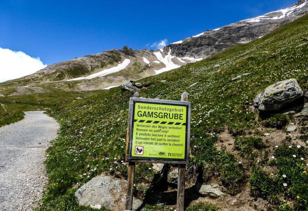 Landhaus Alpenrose - Feriendomizile Pichler