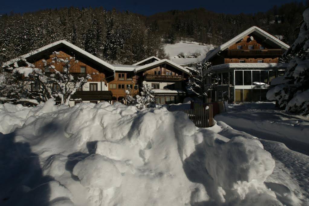 Landhaus Alpenrose - Feriendomizile Pichler