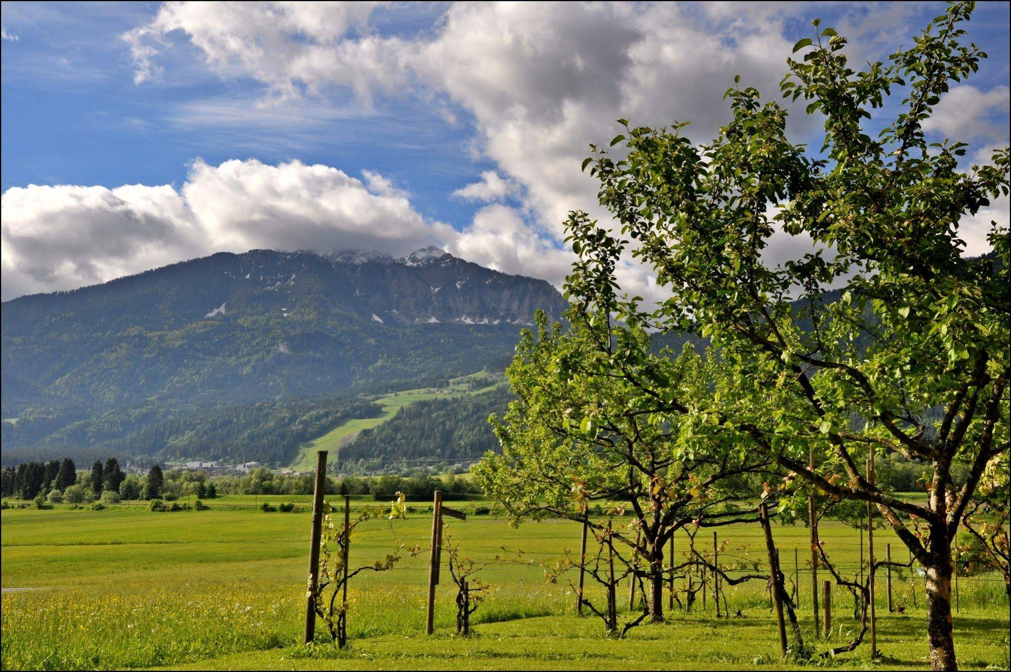 Enzianbrenner Bed & Breakfast