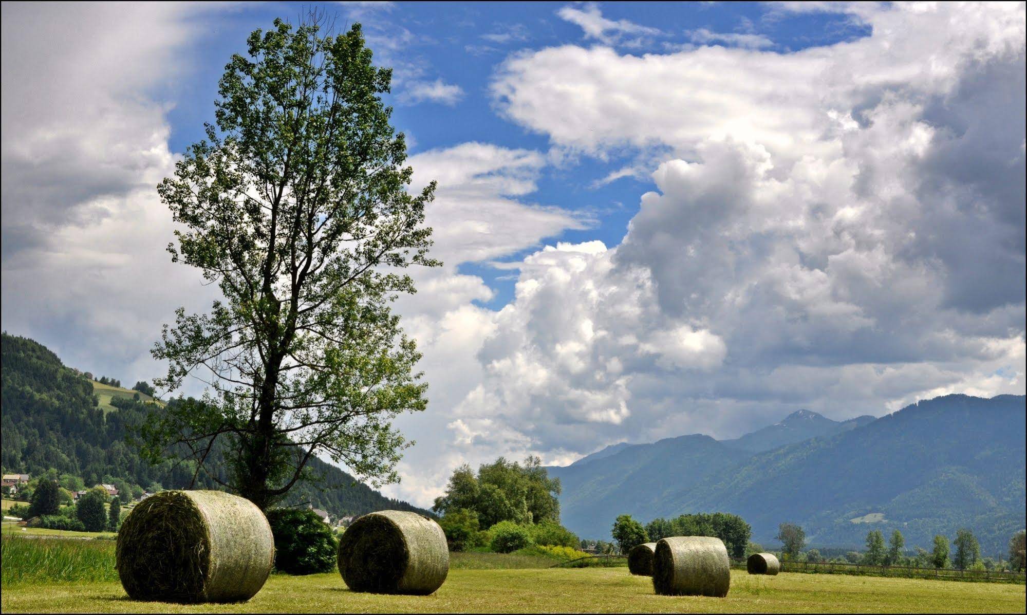 Enzianbrenner Bed & Breakfast