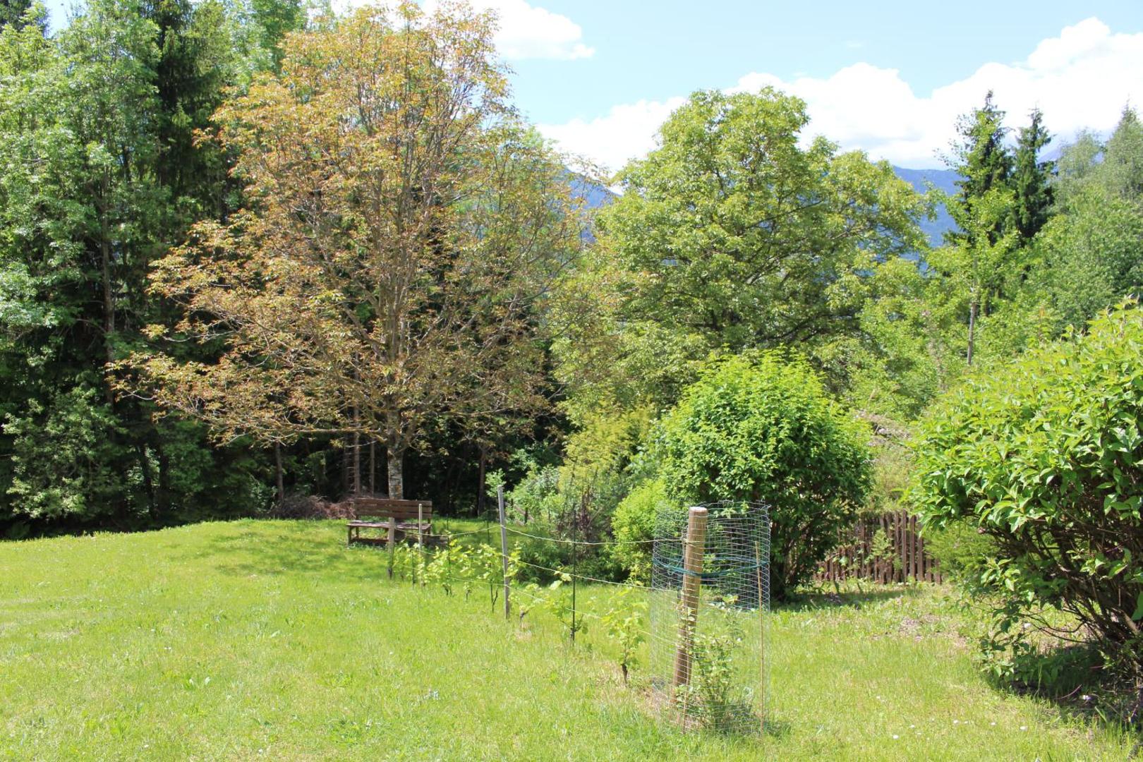 Gartenlodge Auszeit