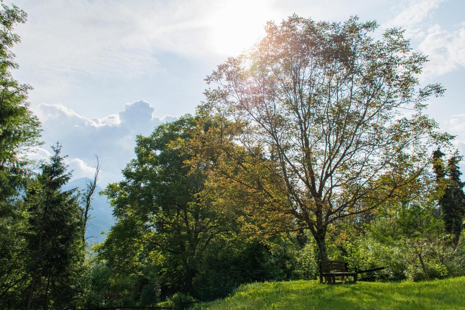 Gartenlodge Auszeit