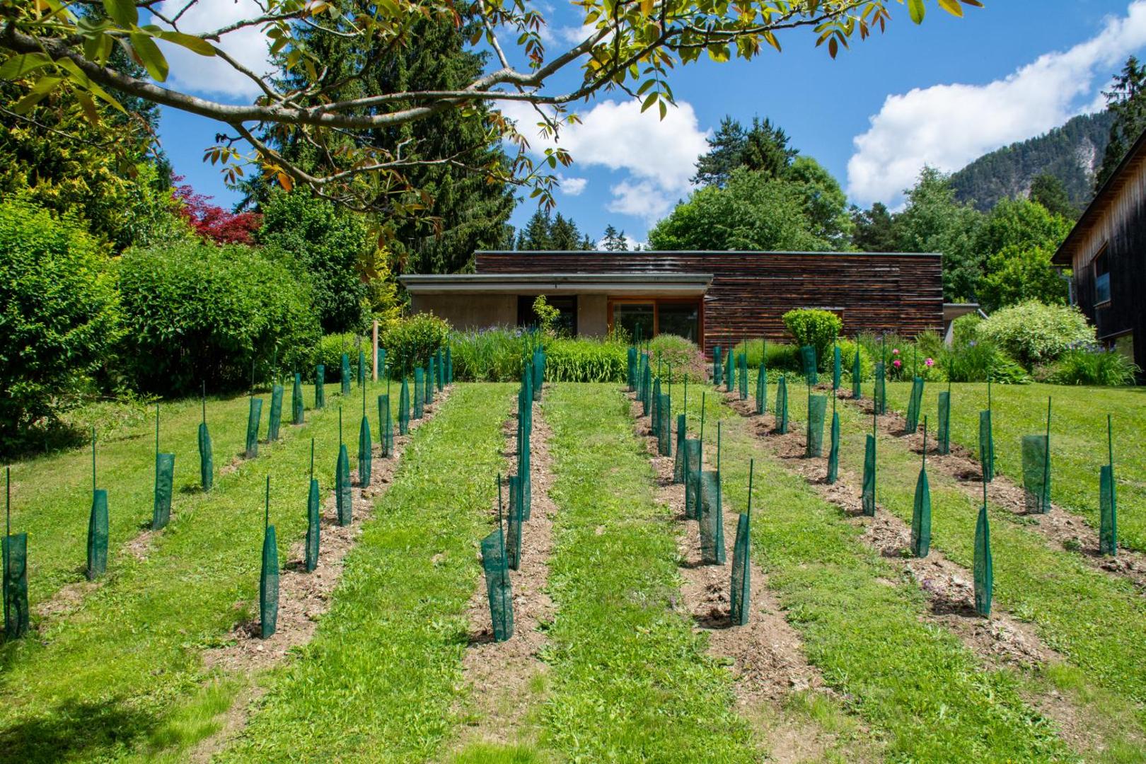 Gartenlodge Auszeit