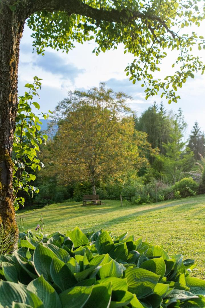 Gartenlodge Auszeit