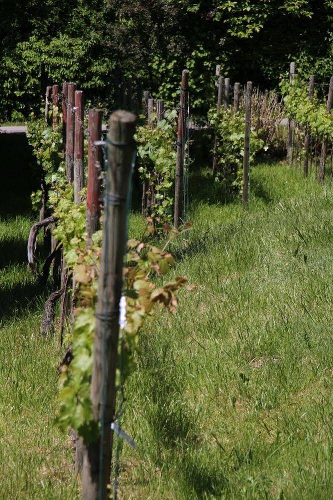 Landhaus Strussnighof