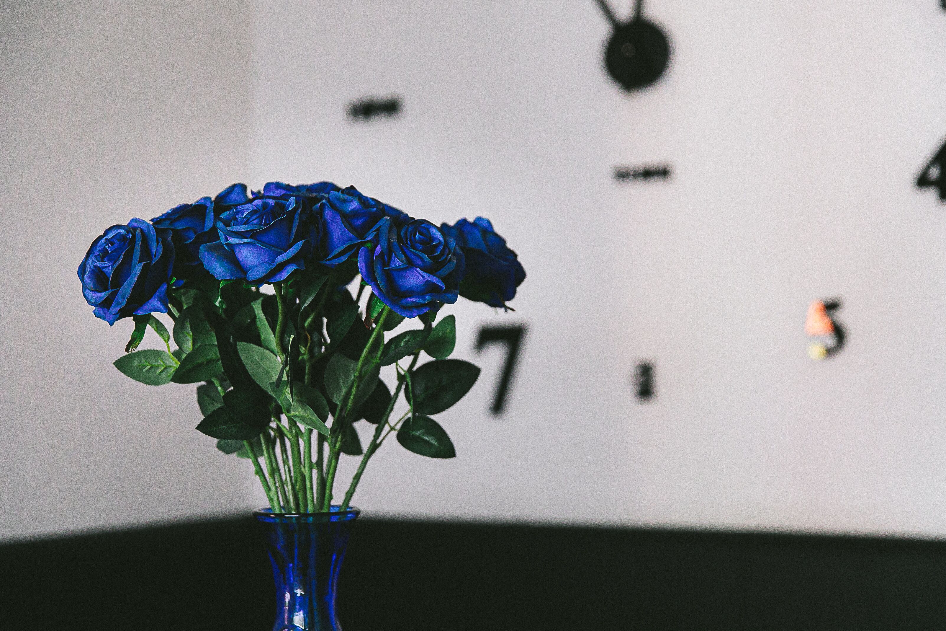 Erholungshotel Margarethenbad