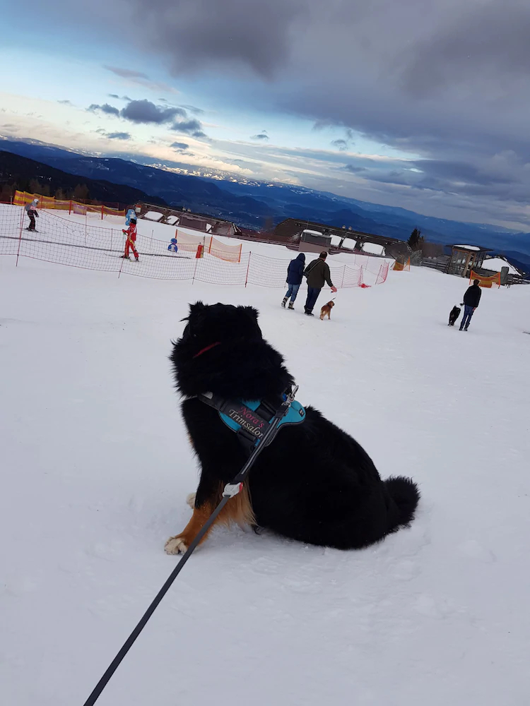 Kärnten Appartements