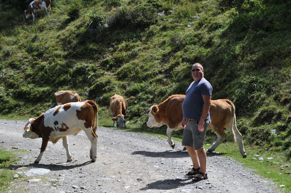 Kärnten Appartements