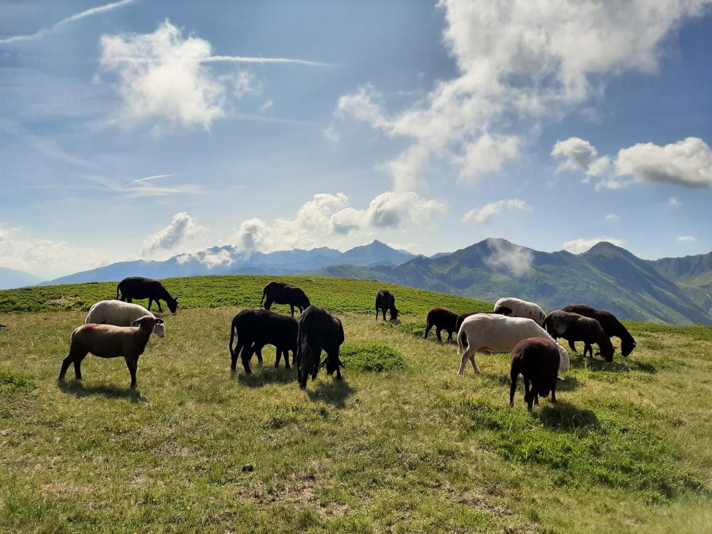 Hotel Gasthof Andreas