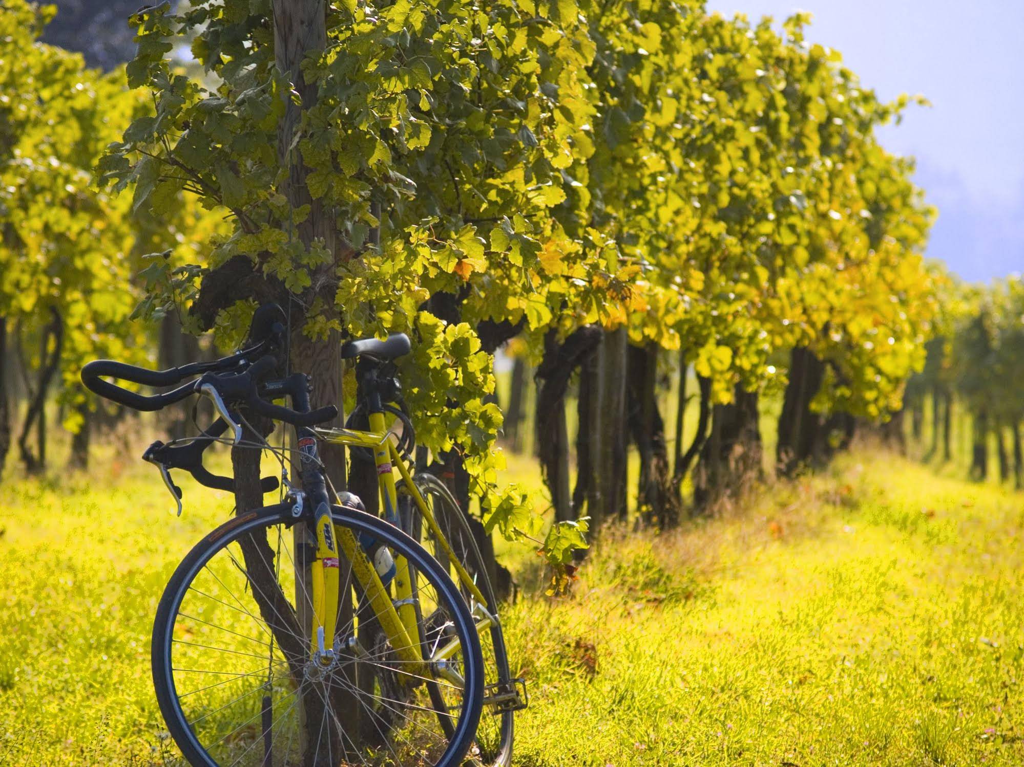 Gartenhotel & Weingut Pfeffel