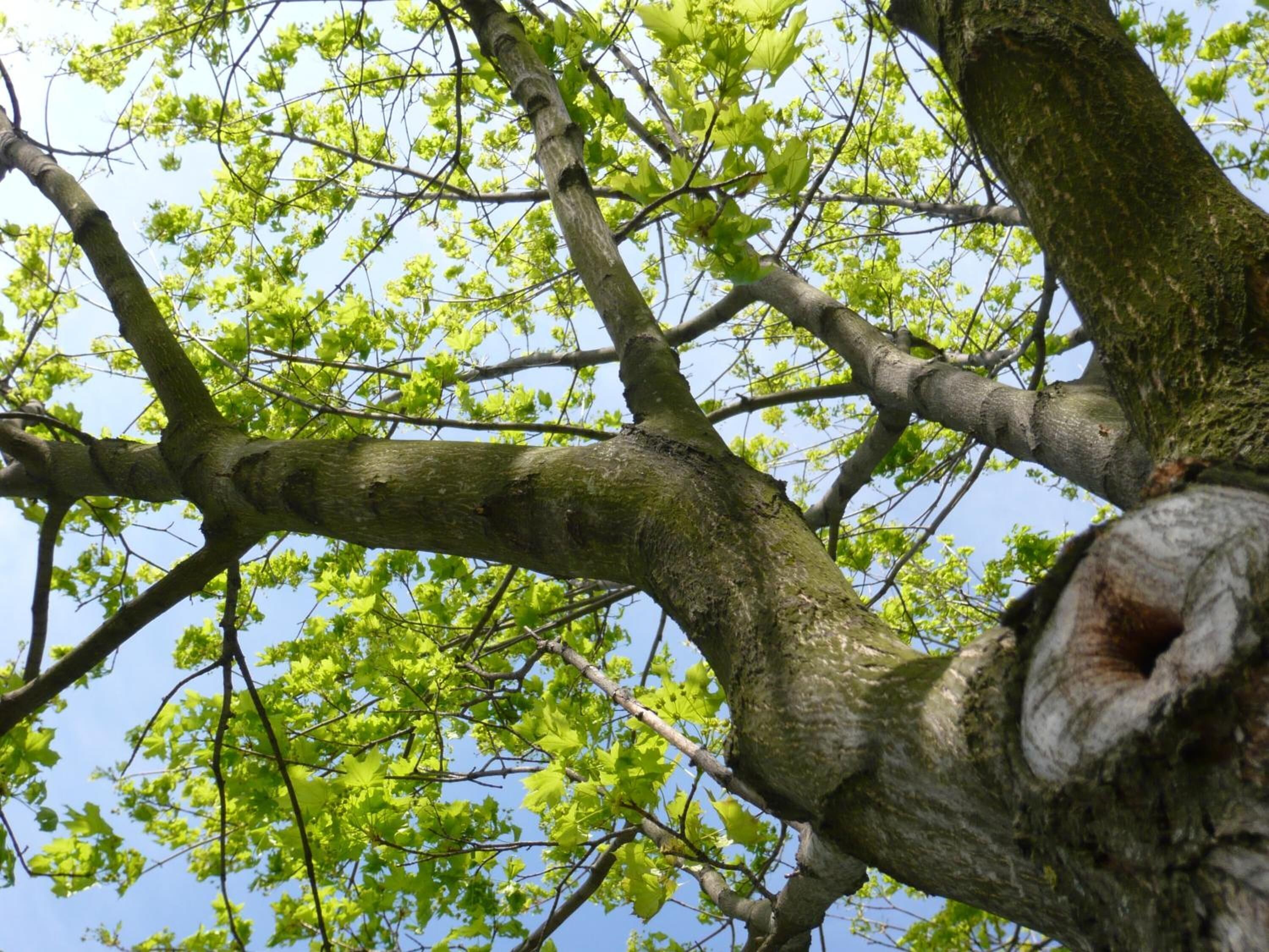 Good Rooms Guntramsdorf