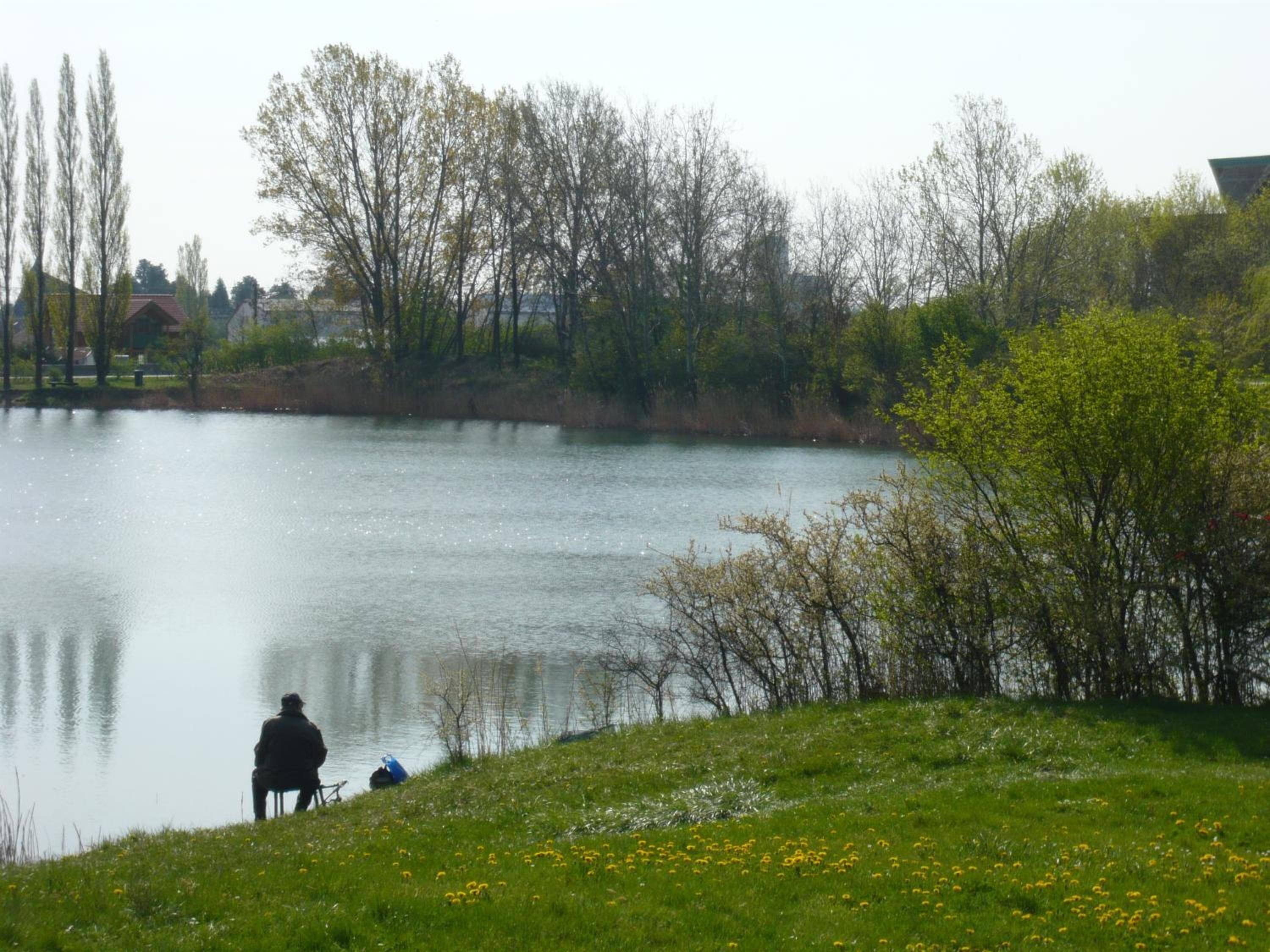 Good Rooms Guntramsdorf