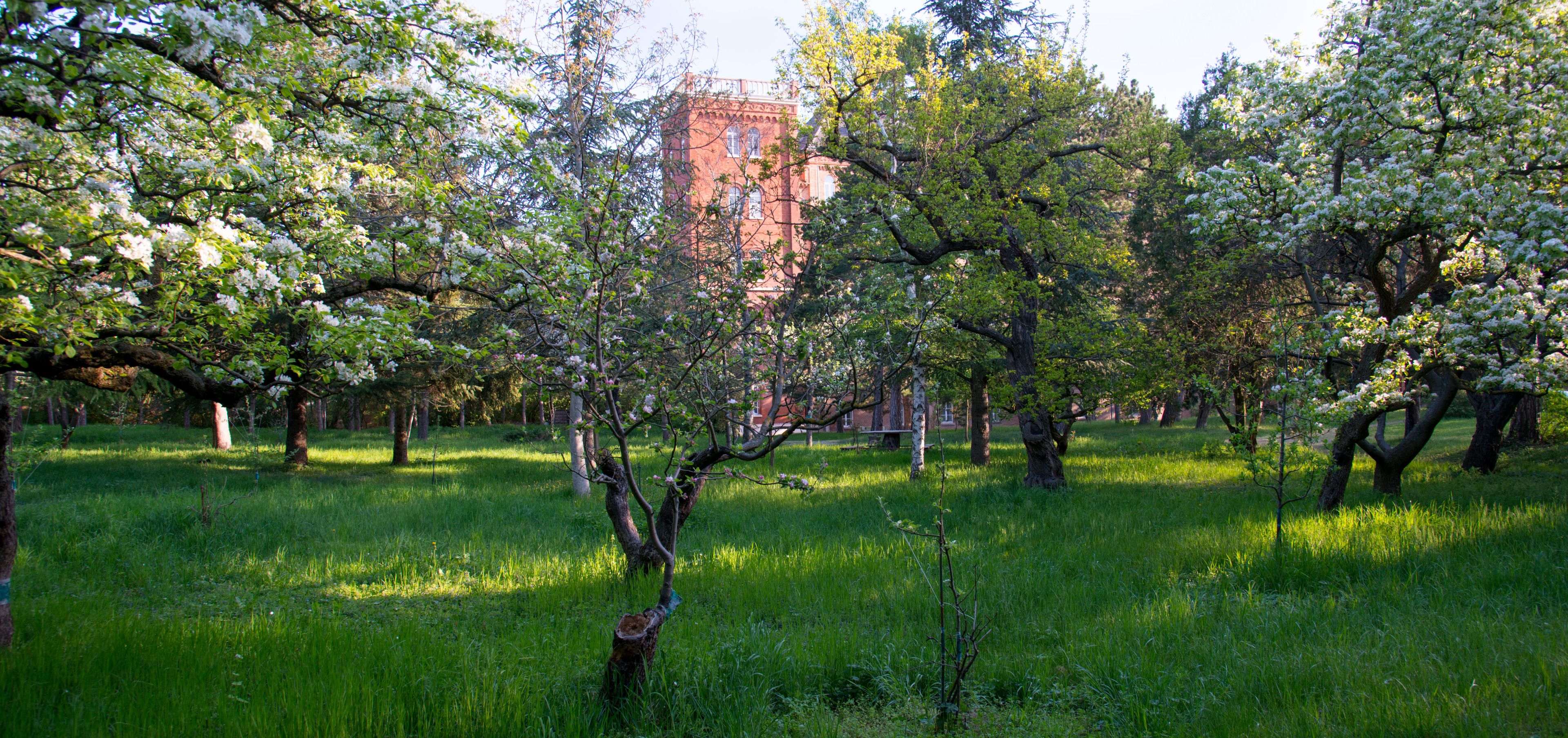 Hotel Gabrium