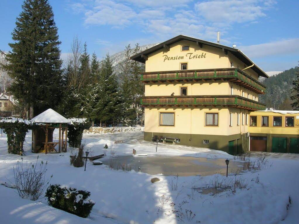 Triebl Pension