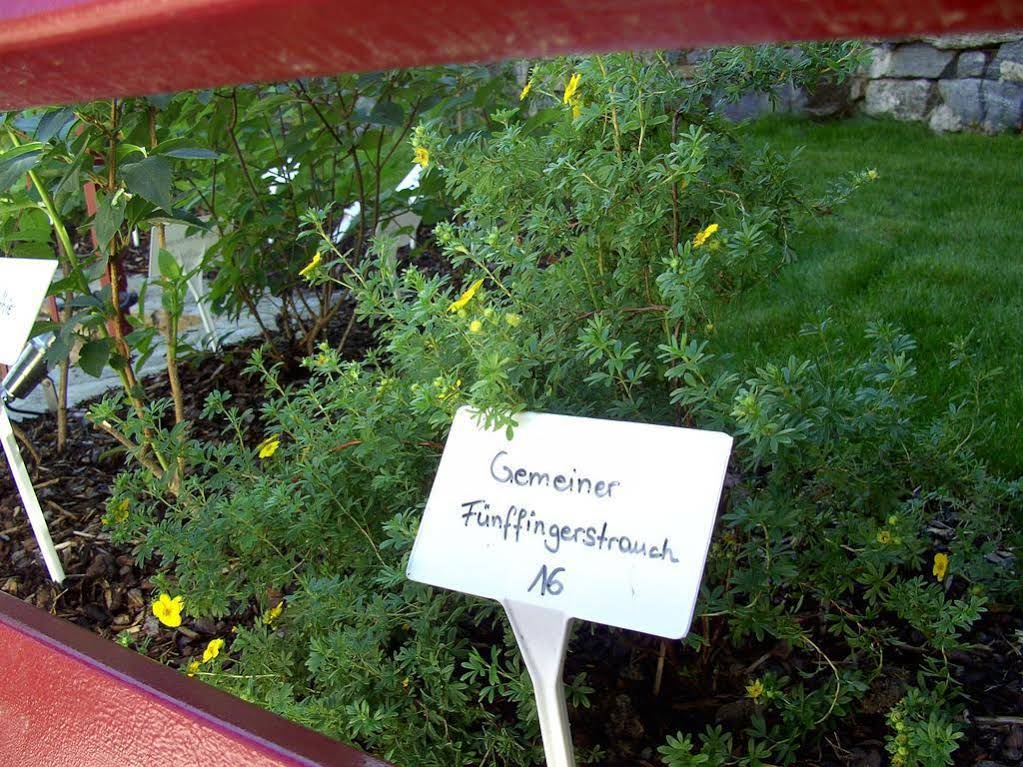 Gasthof-Pension Leopold Janu
