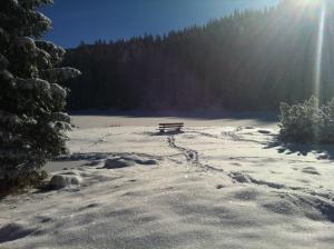 Berggasthaus Riatschhof