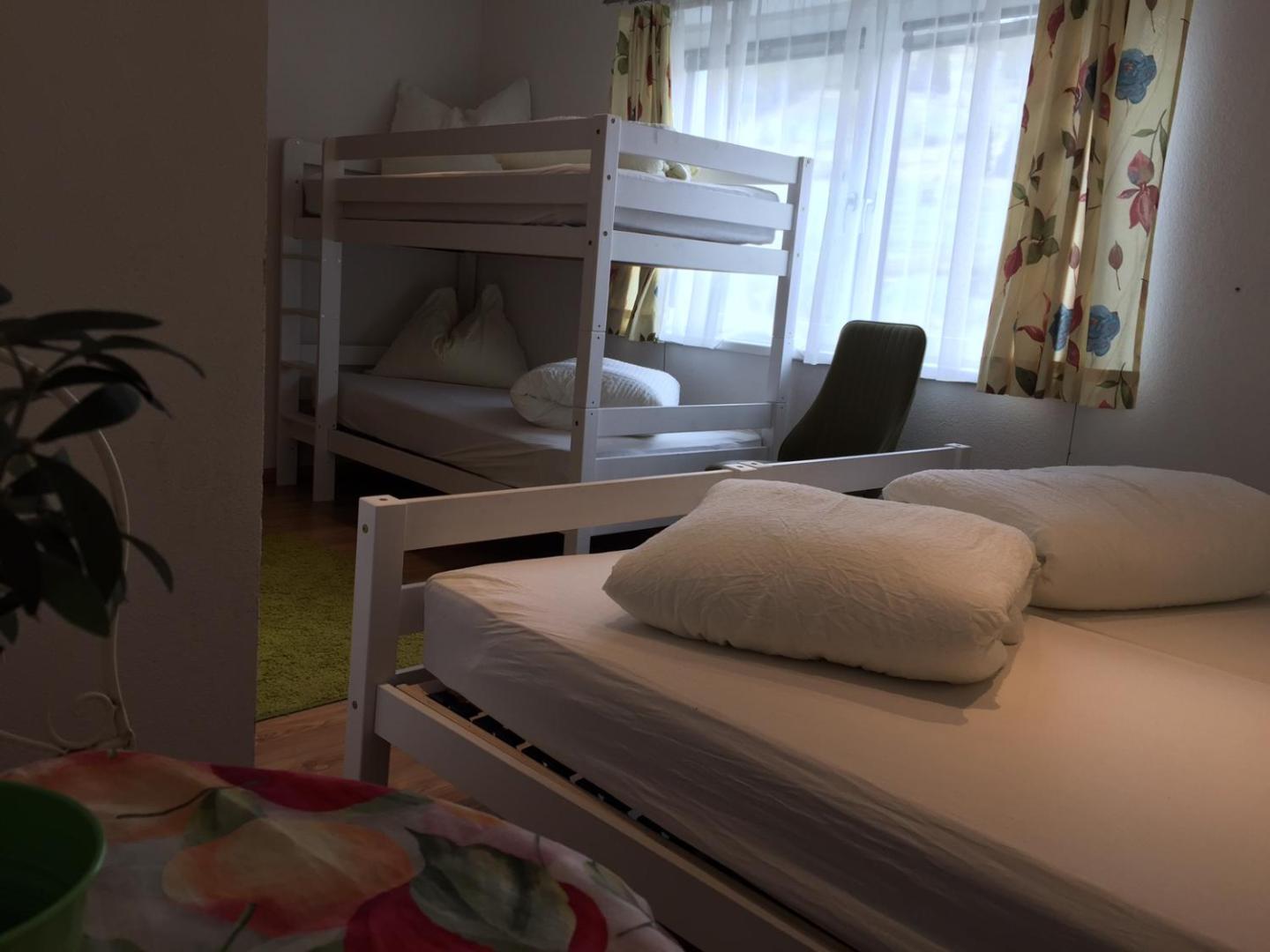 Ibex Backpacker Hostel