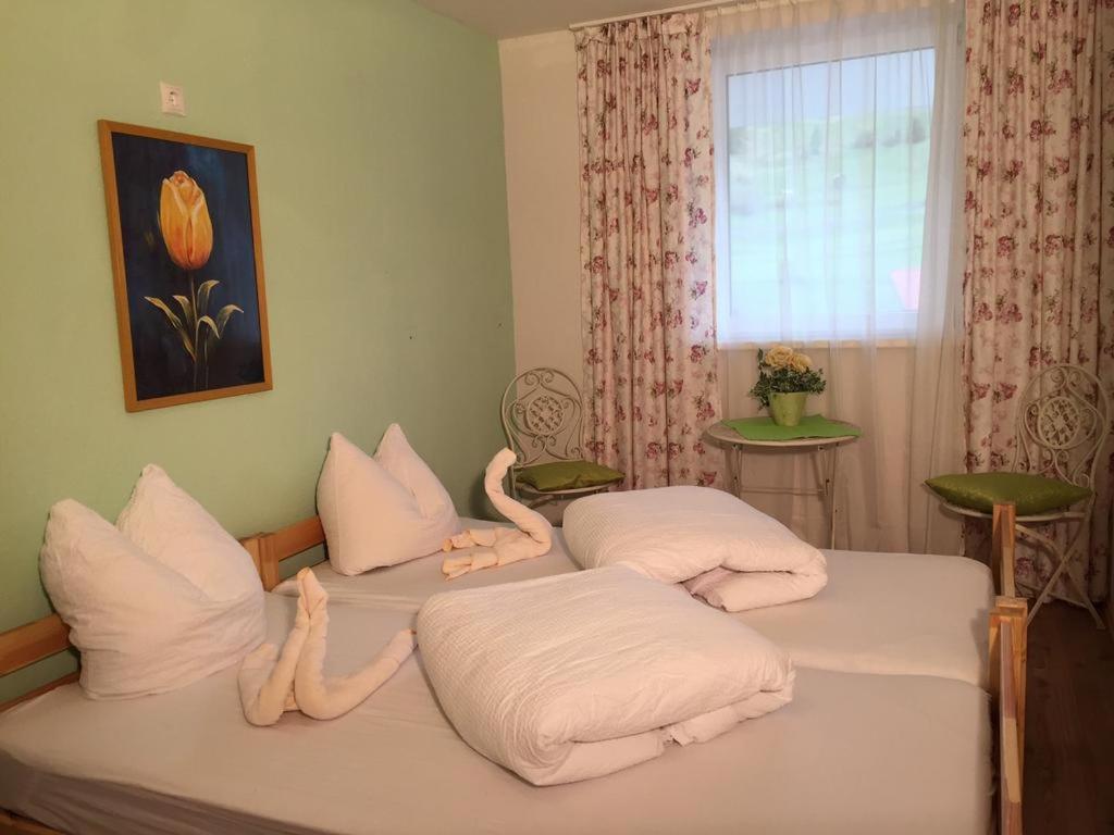 Ibex Backpacker Hostel