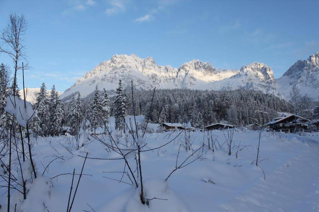 Pension Apartment Steiner