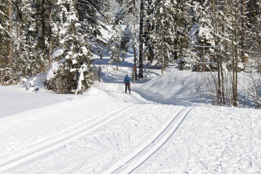 Pension Apartment Steiner