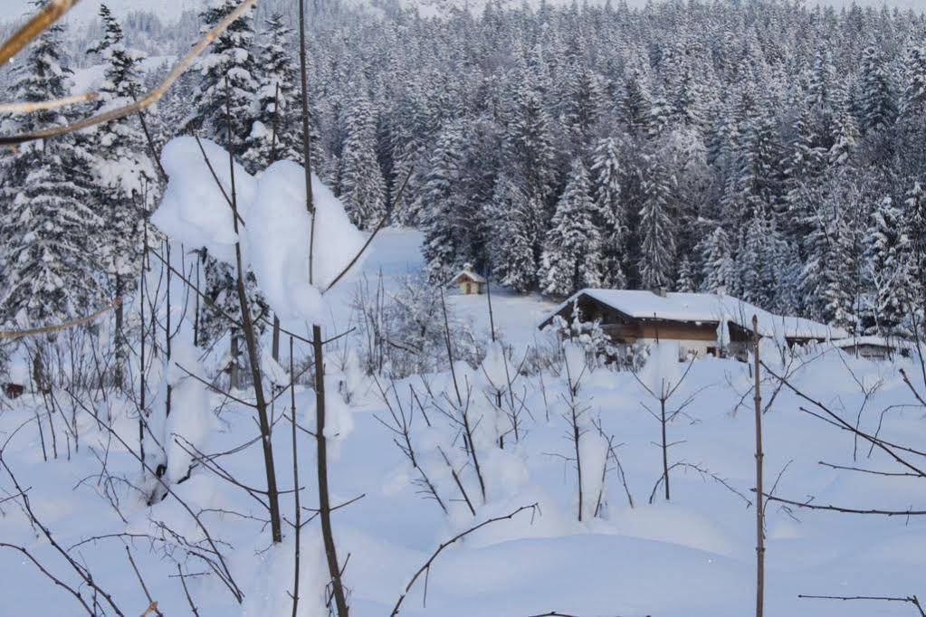 Pension Apartment Steiner