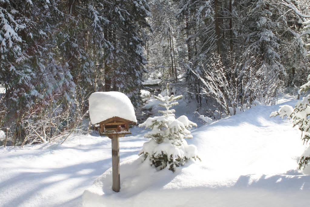 Pension Apartment Steiner