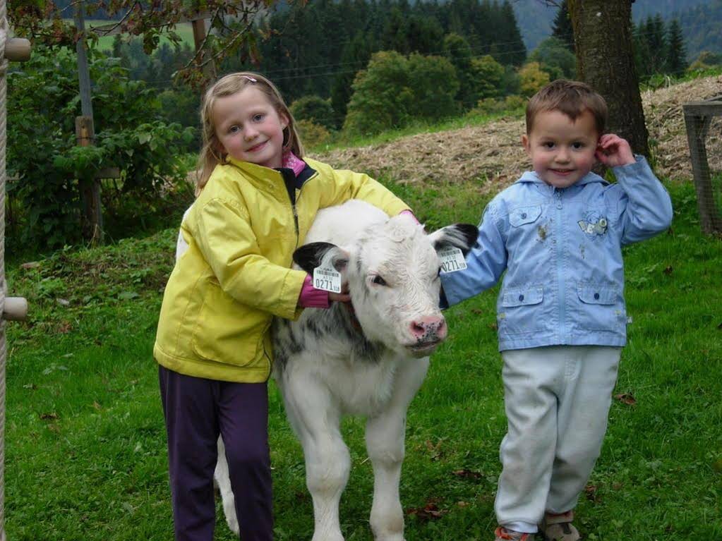 Ferienwohnungen Mittermoos