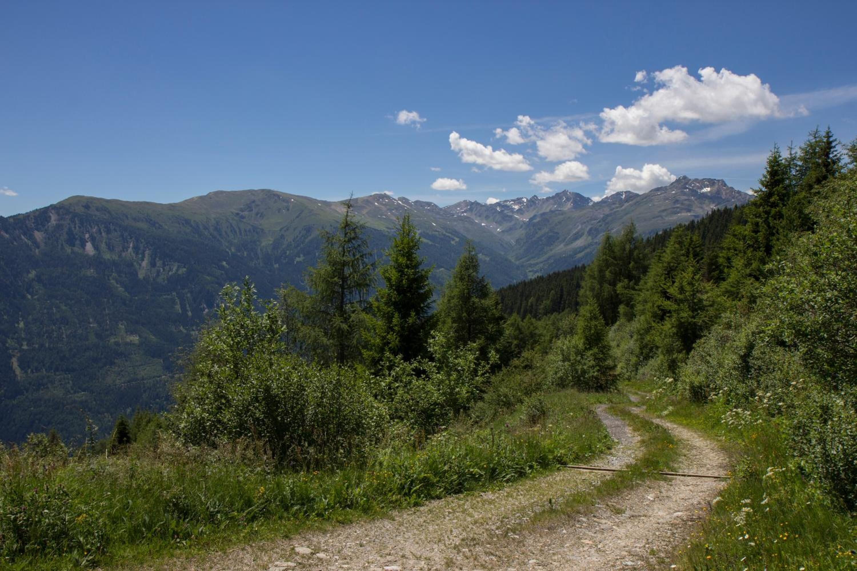 Panoramahotel Fliesserhof