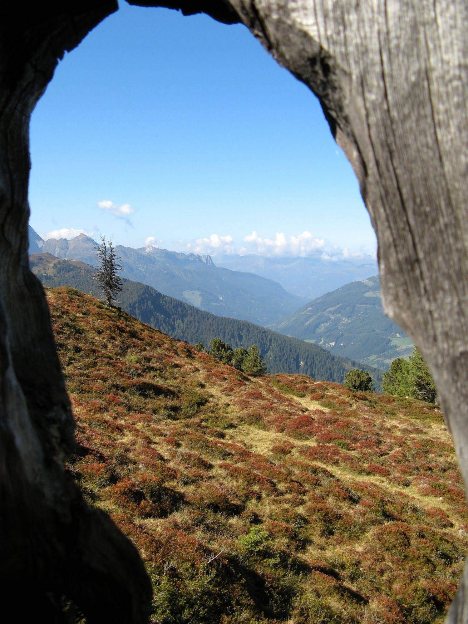 Alpenherz