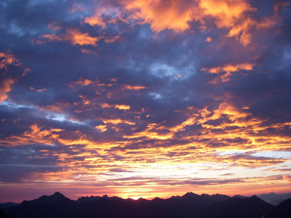 Die Lilie - Hotel Garni