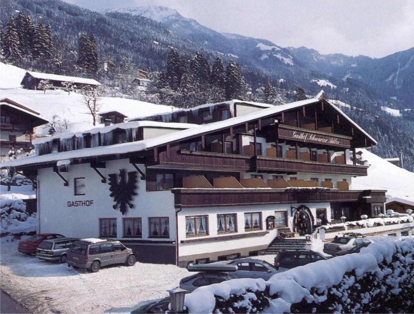 Schwarzer Adler
