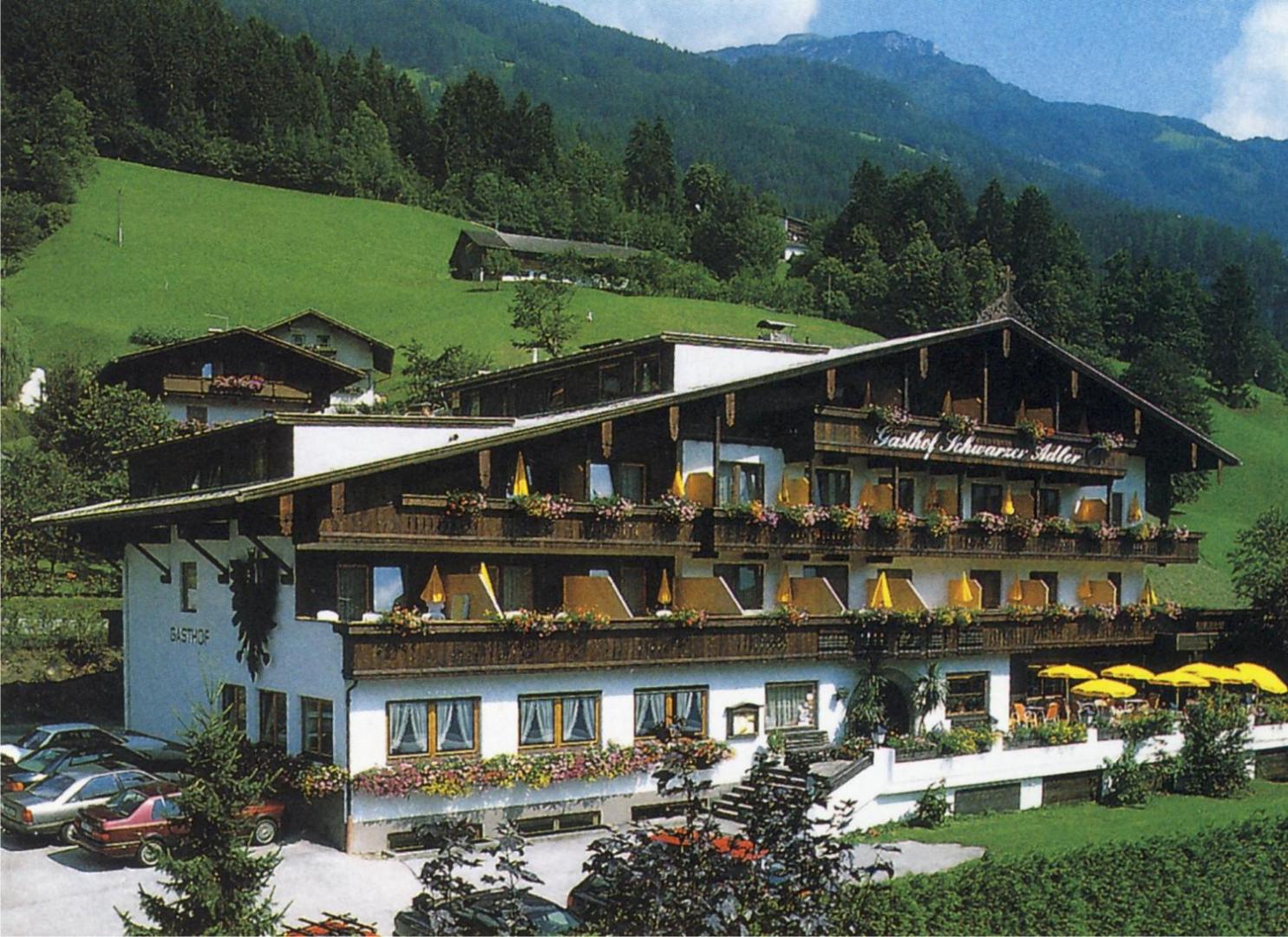 Schwarzer Adler