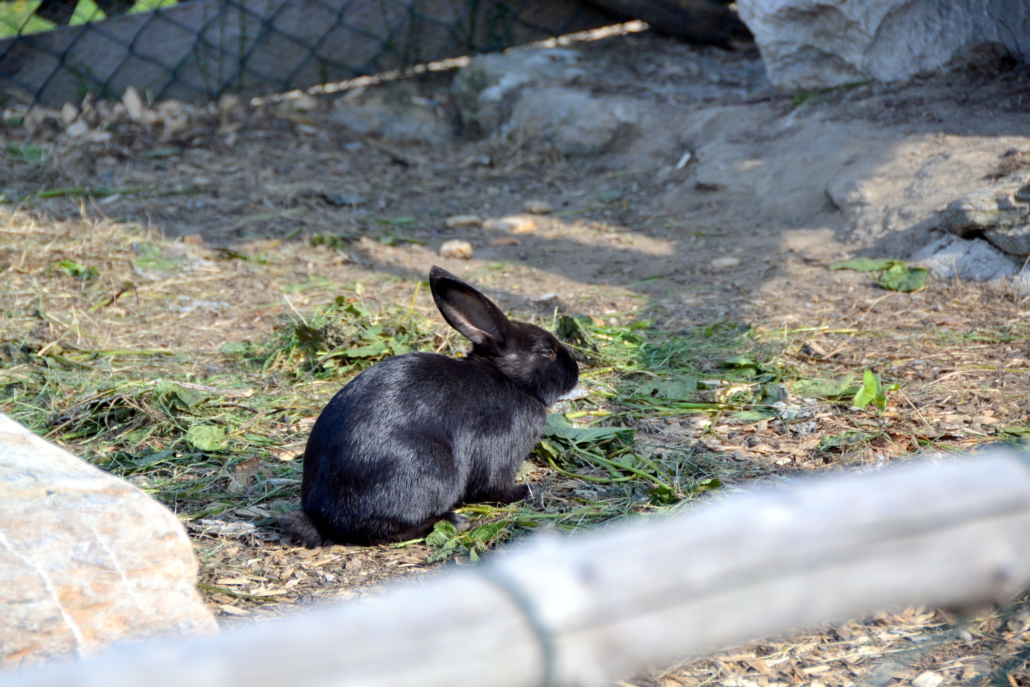 Chalets & Apartments Wachterhof