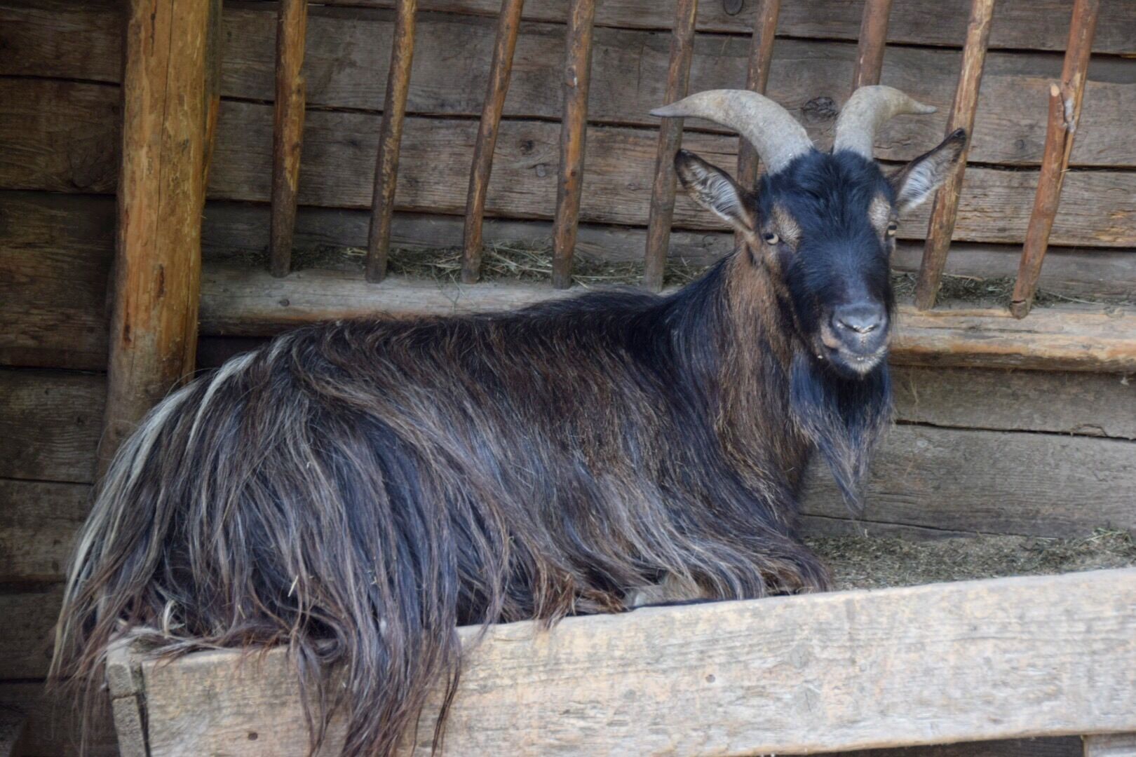 Chalets & Apartments Wachterhof