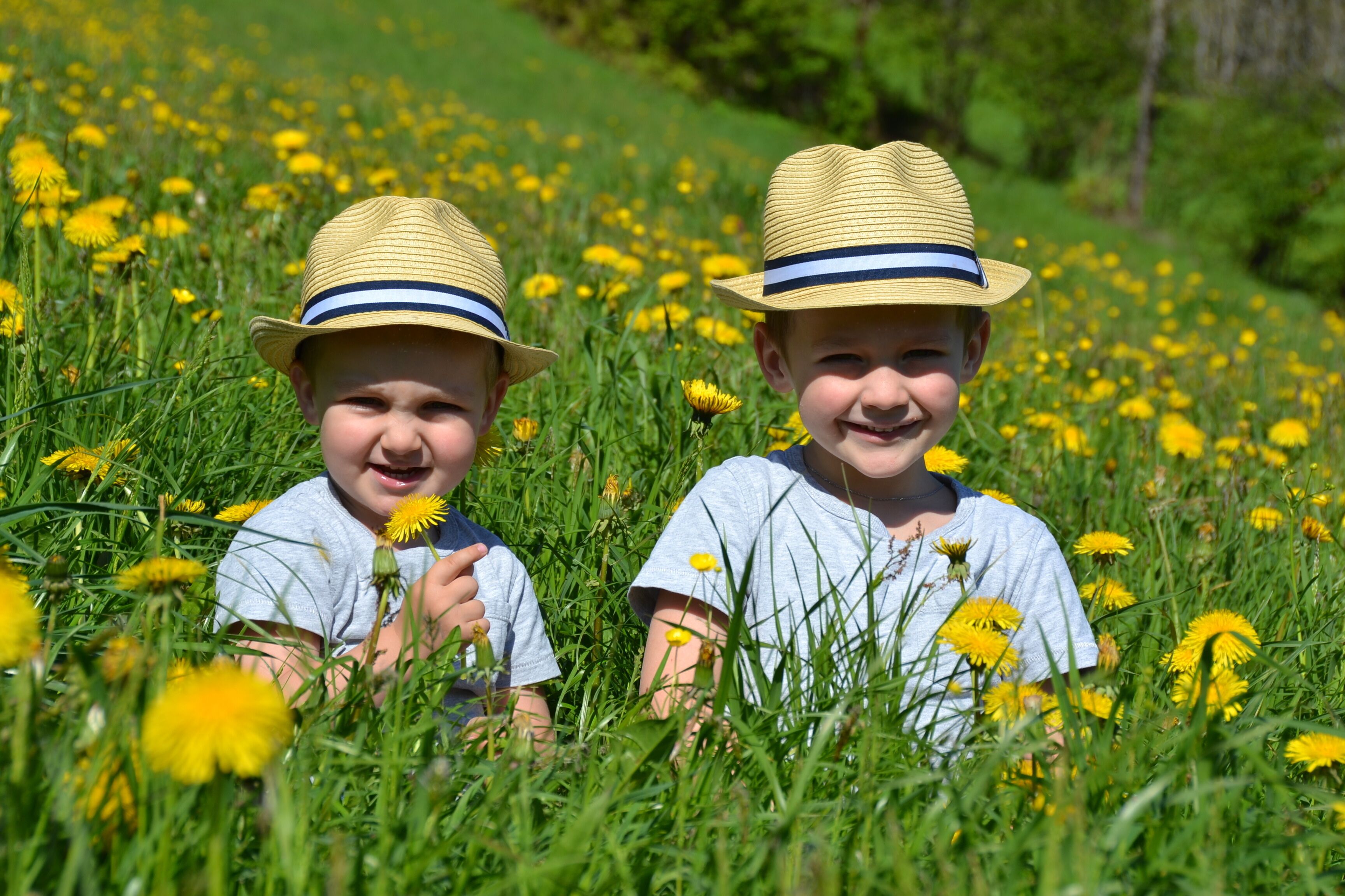 Chalets & Apartments Wachterhof
