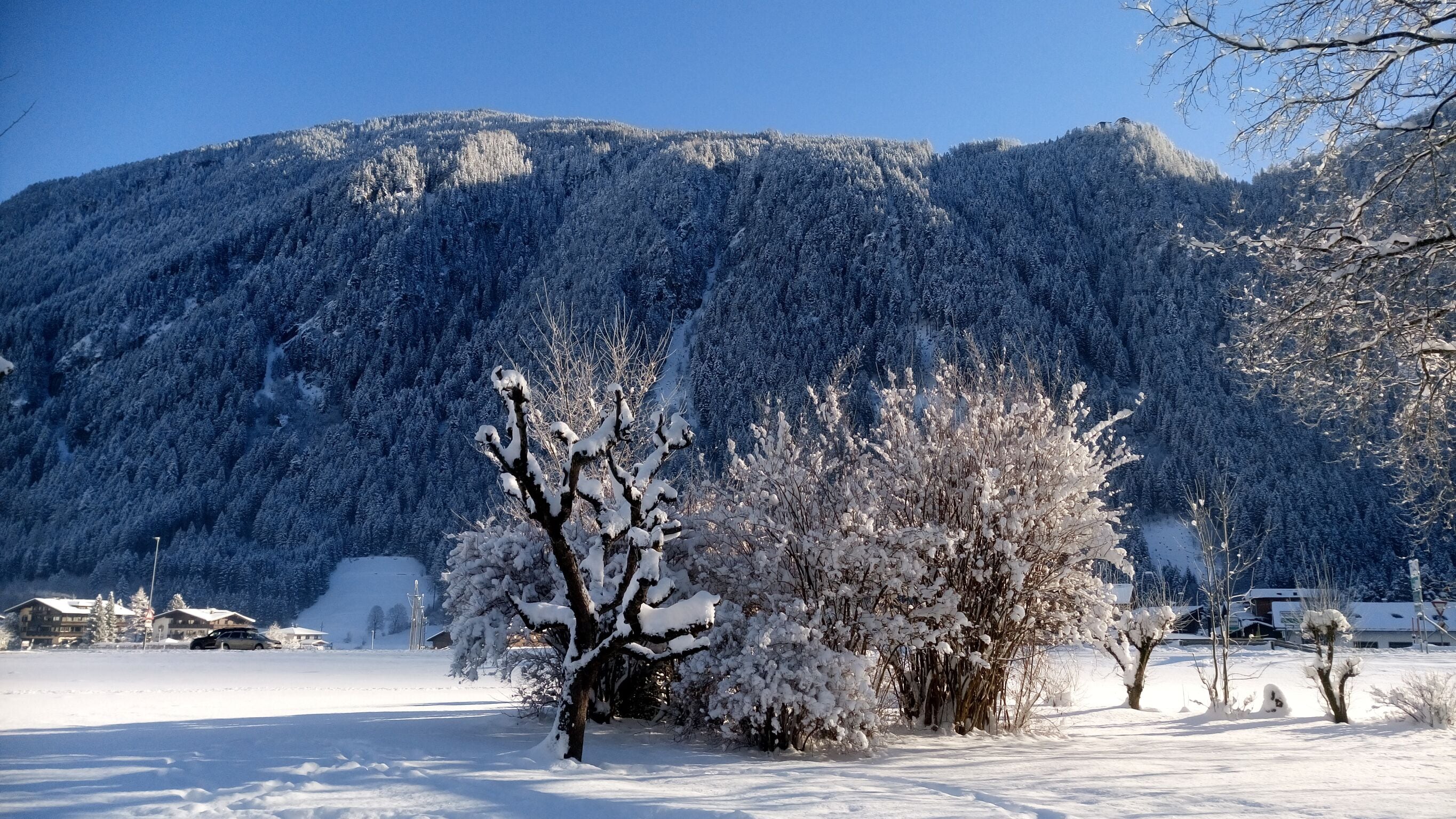 Hotel Garni Birkenhof