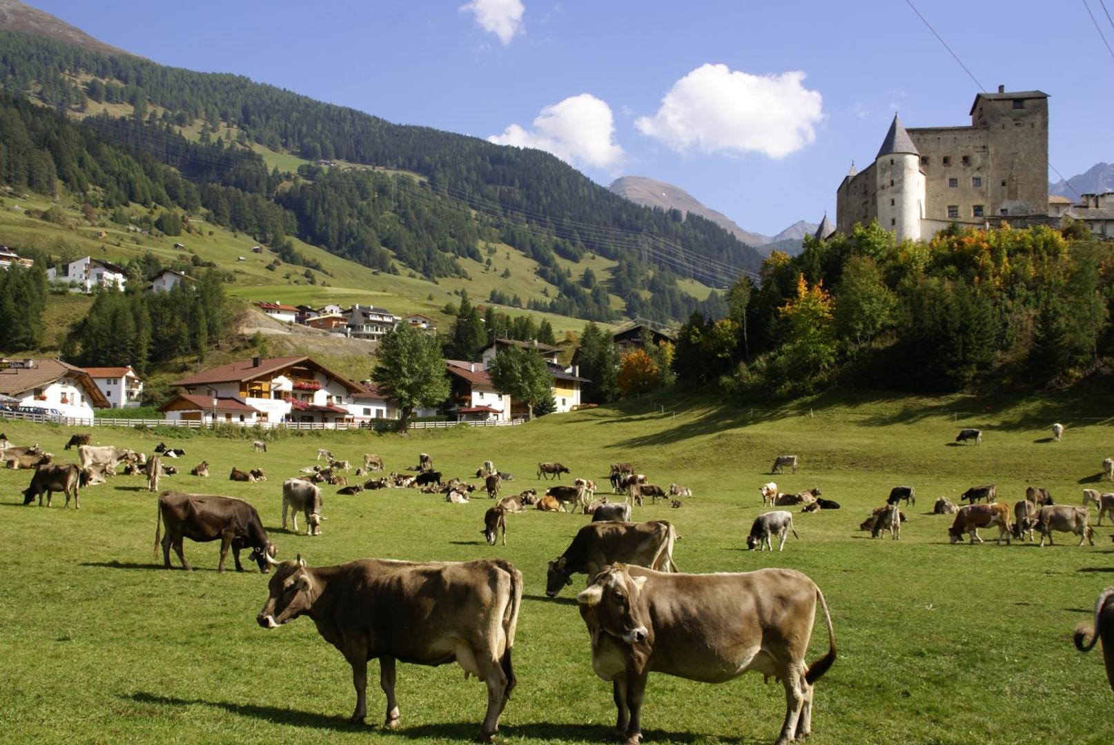 Pension Tirol