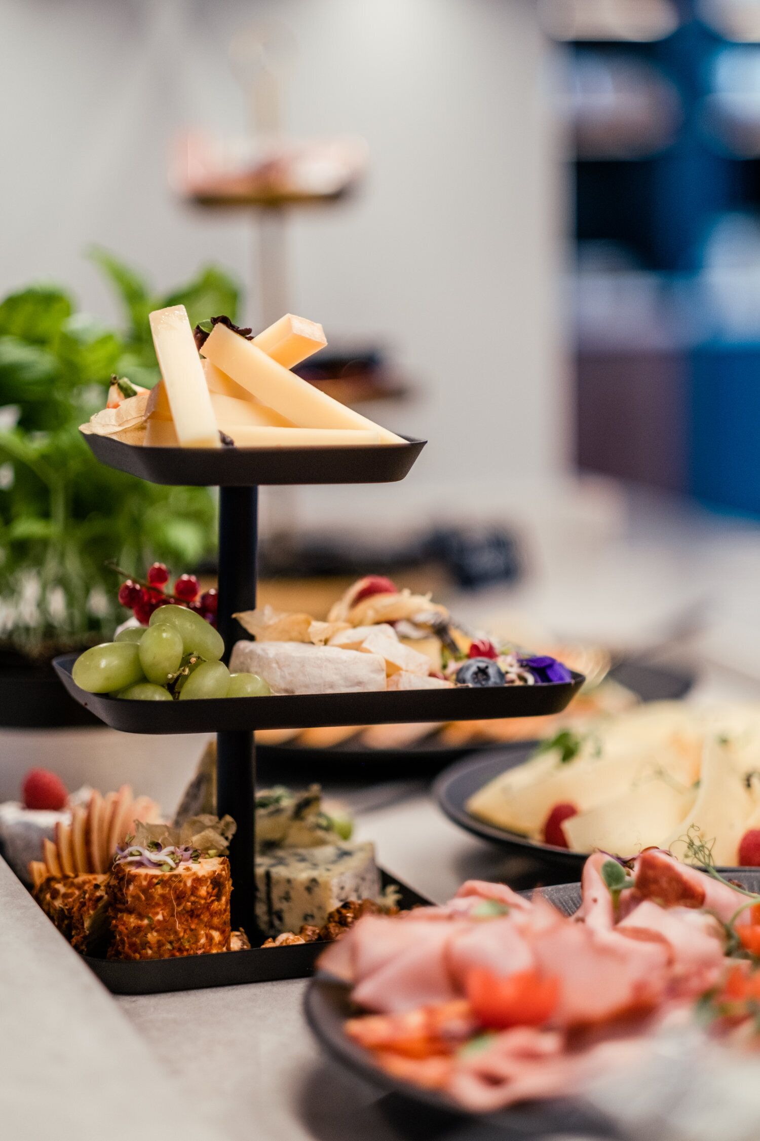 Castello Falkner Chalets & Residences