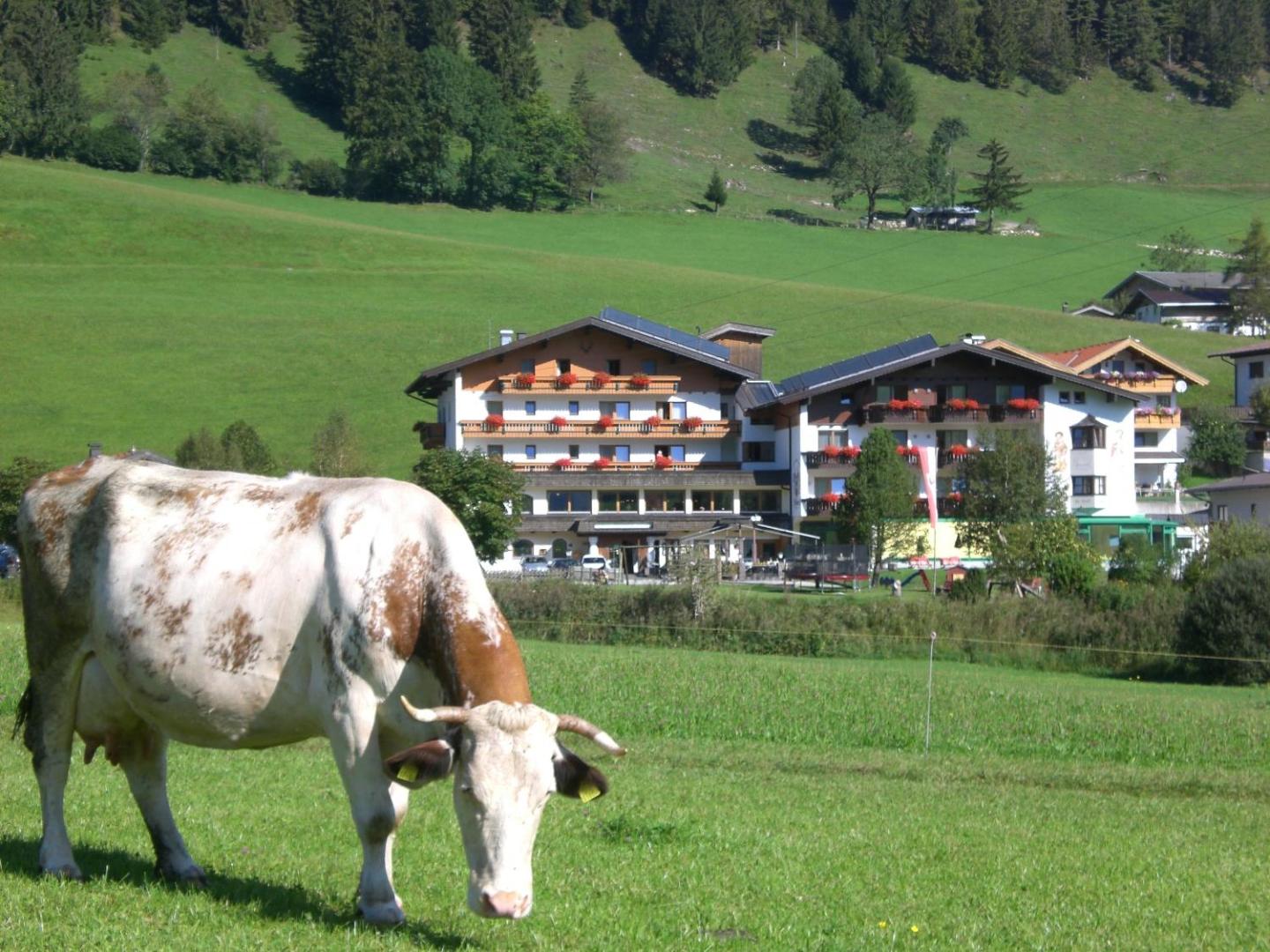 Wildauerhof