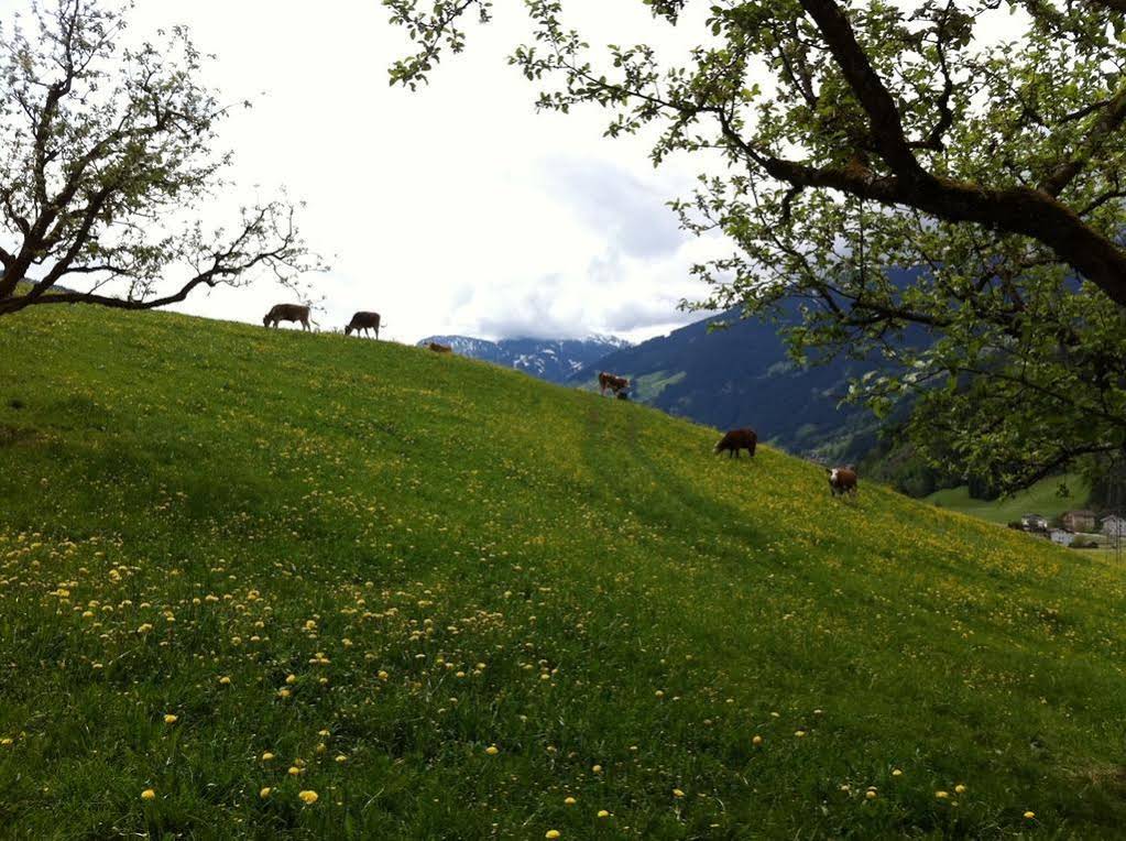 Hochfeldhof