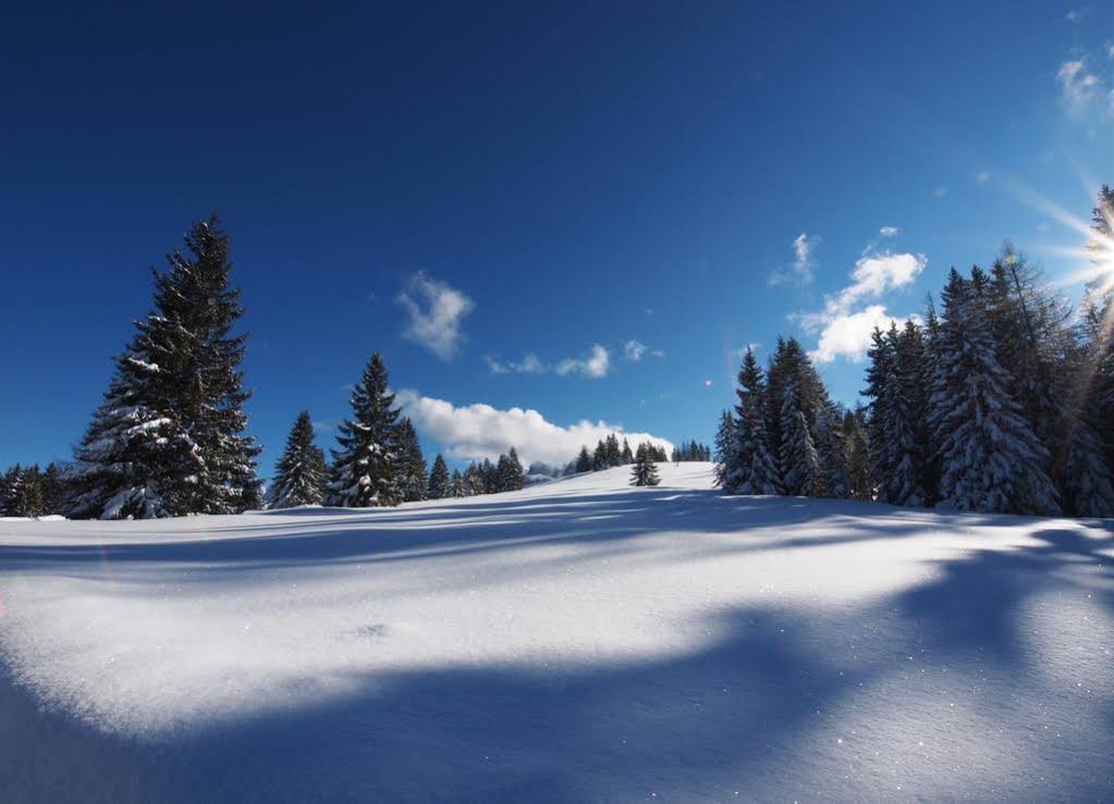 Alpenpension Unterschlag