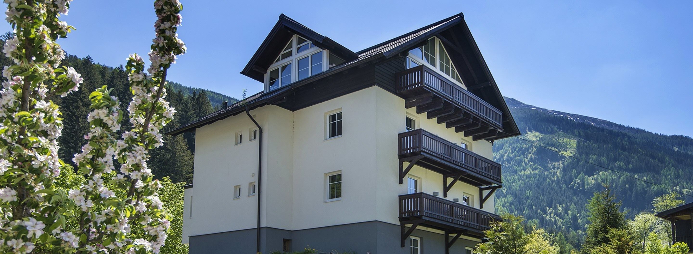 Chalet Enzian