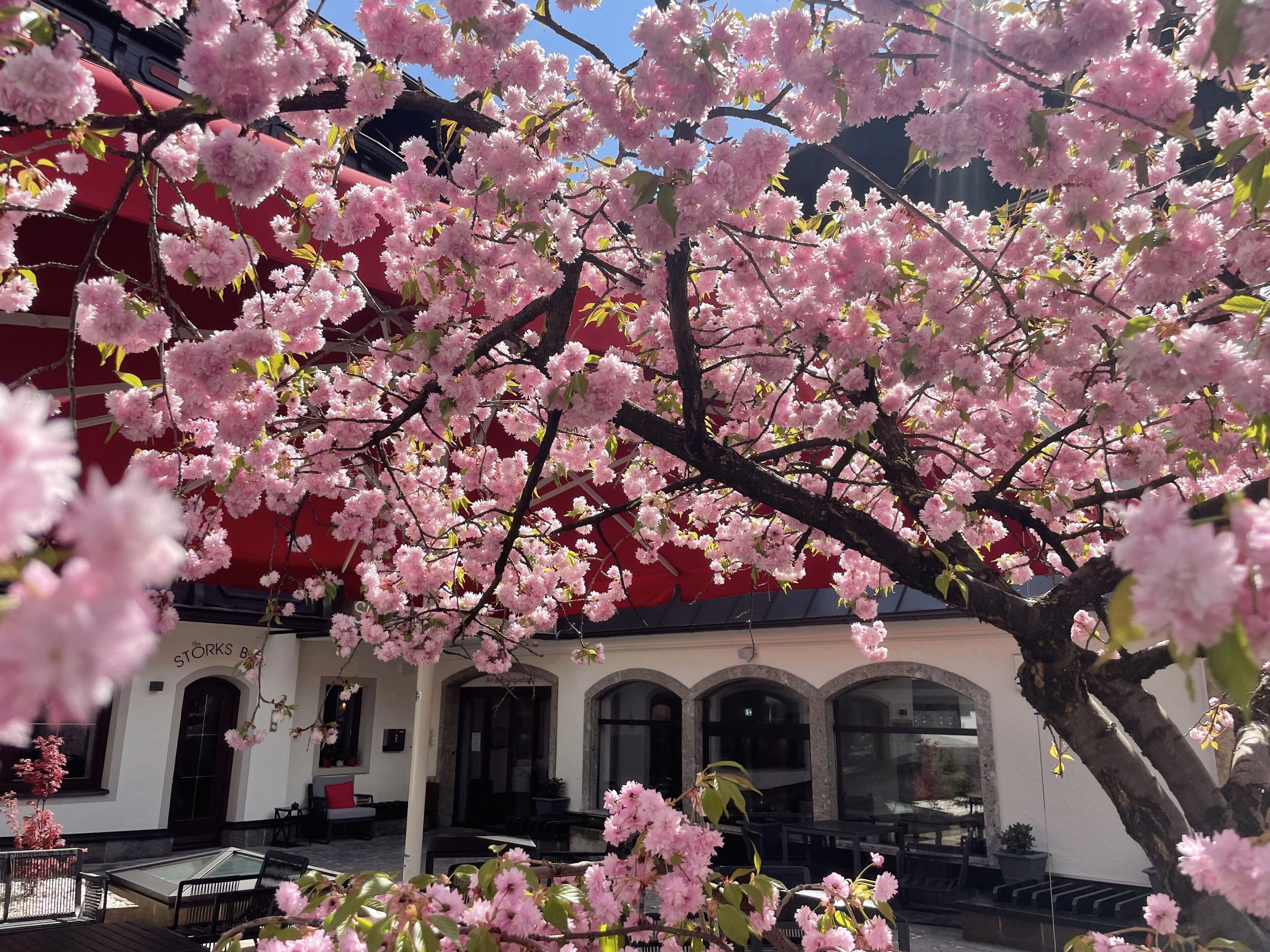 The Storks Art & Boutique Hotel Bad Hofgastein