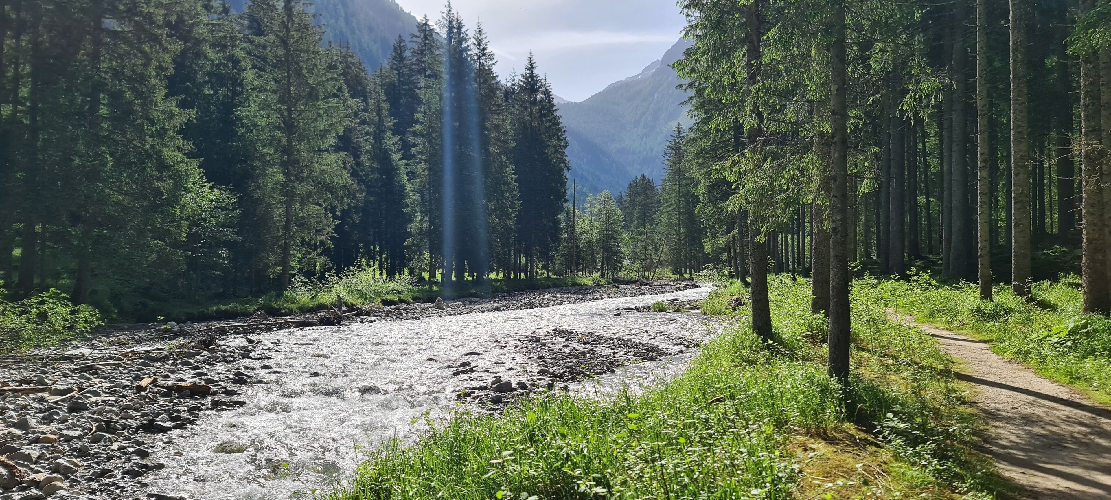 The Storks Art & Boutique Hotel Bad Hofgastein