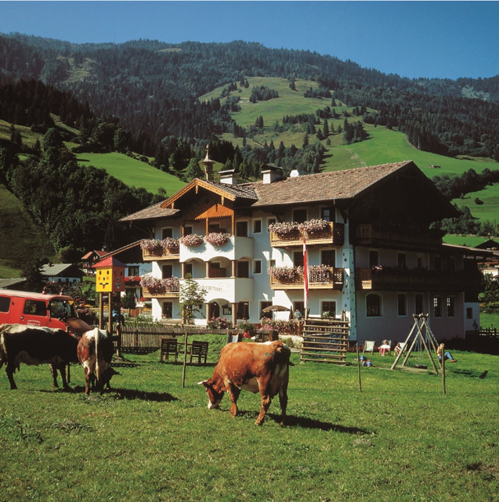 Die UnterbergerIn