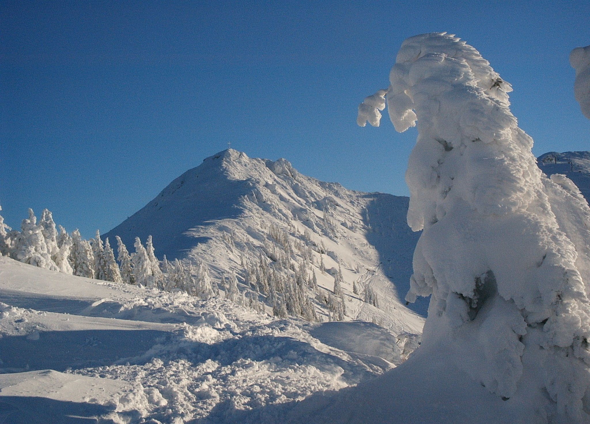 Almdorf Flachau Hütte