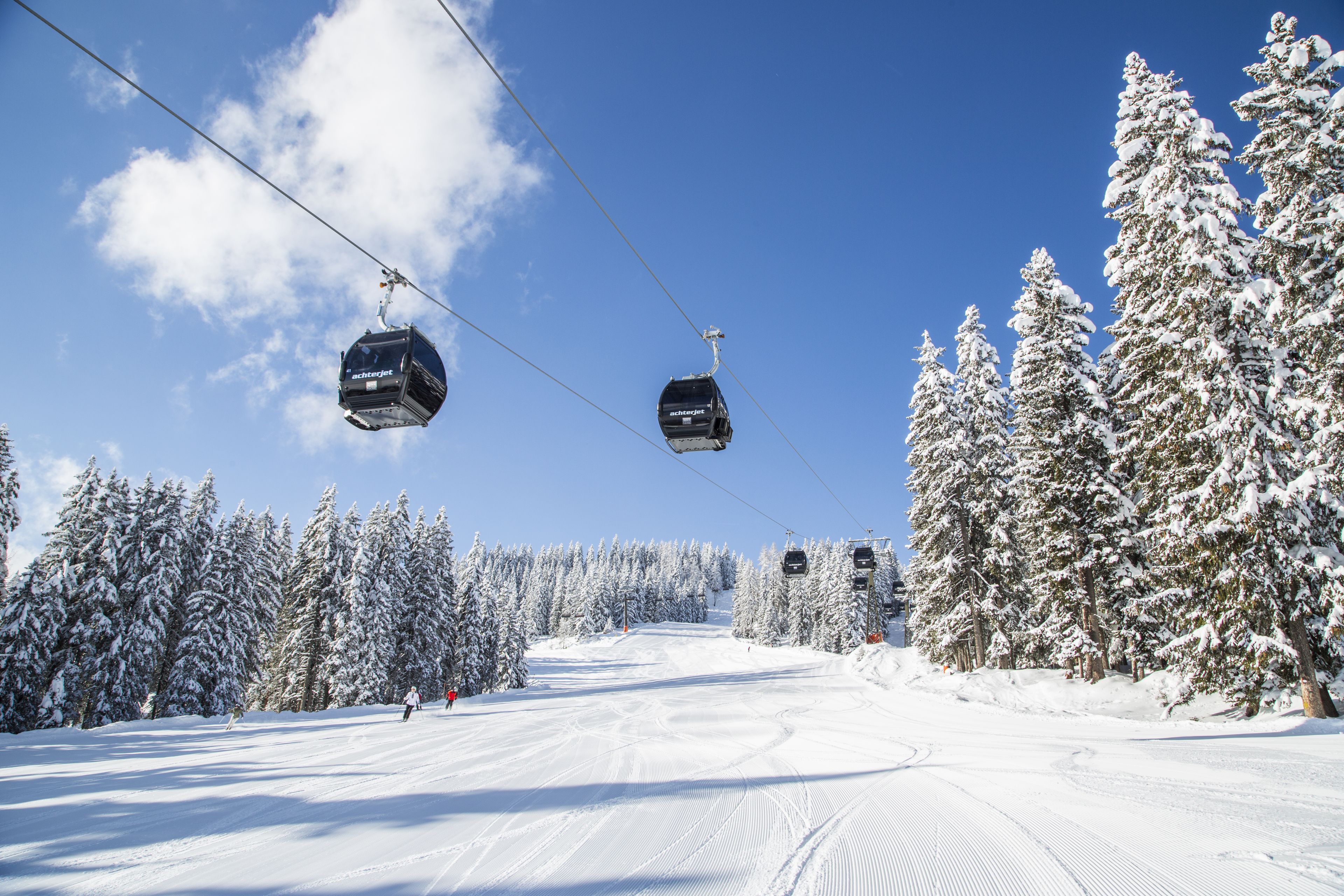 Almdorf Flachau Hütte