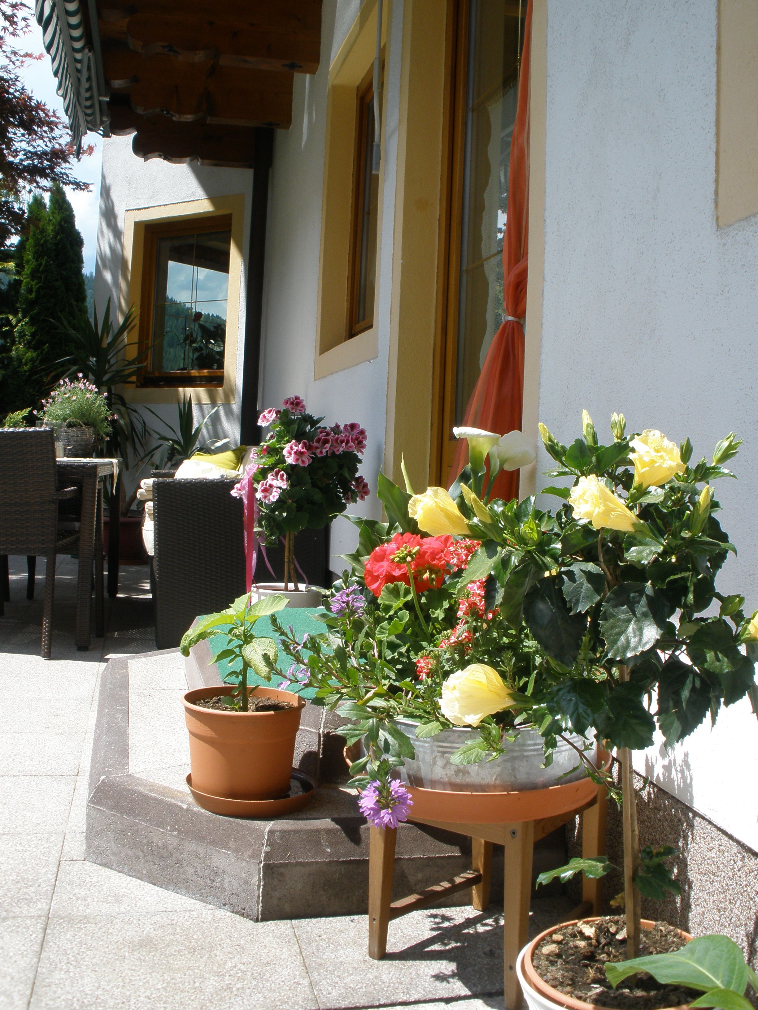 Ferienhaus Eva
